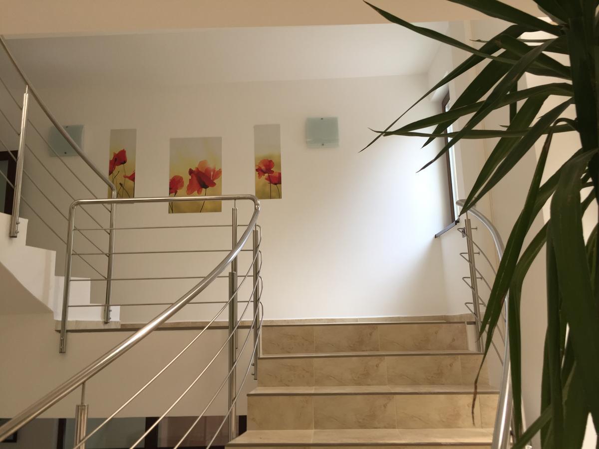 Paradox Oituz Hotel