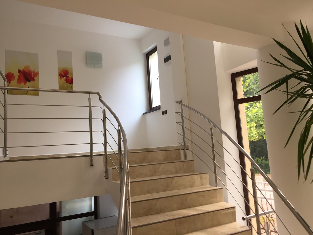 Paradox Oituz Hotel 3*